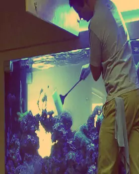 Top-class Aquarium Maintenance Service
