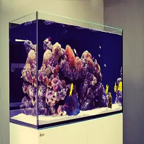 Aqua One Fish Tanks